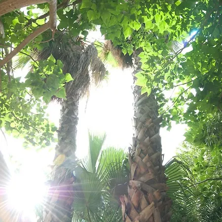 Meliaresort Mare
